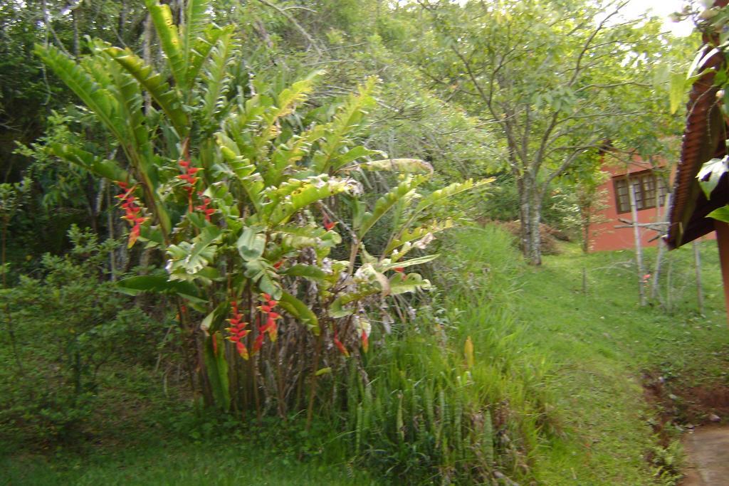 Pousada Passaredo Montanha Ibiúna Екстериор снимка